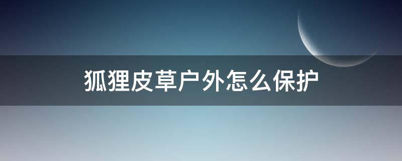 狐狸皮草户外怎么保护（狐狸皮草怎么洗在家里）