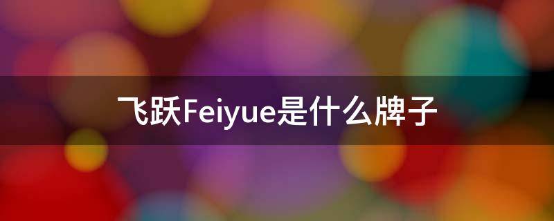 飞跃Feiyue是什么牌子 飞跃/feiyue