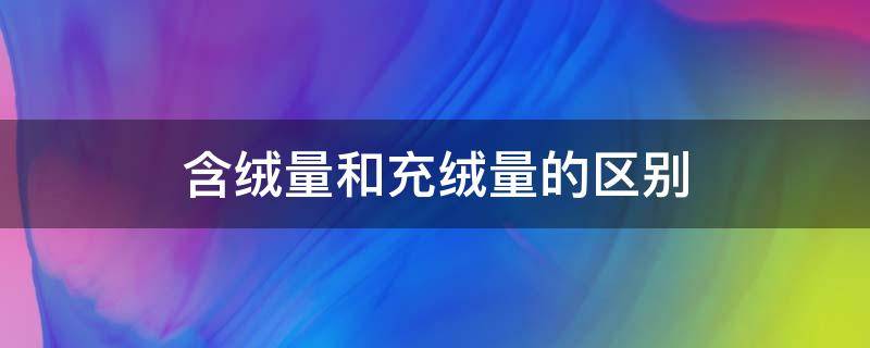 含绒量和充绒量的区别 90绒100克和80绒200克哪个好