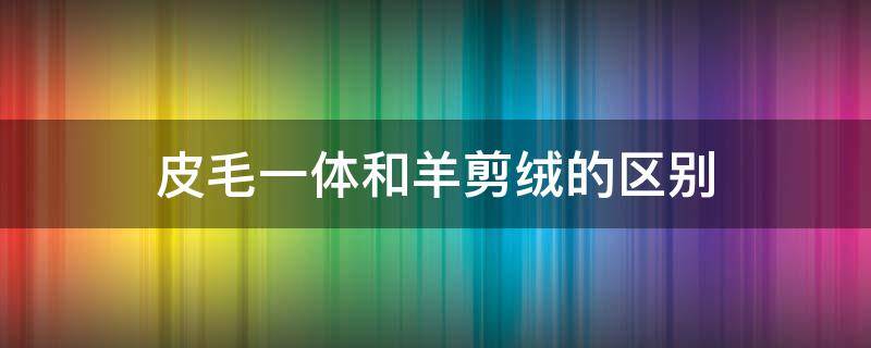 皮毛一体和羊剪绒的区别 皮毛一体和羊剪绒的区别图片