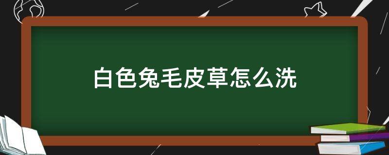 白色兔毛皮草怎么洗（白色兔毛皮草怎么洗干净）