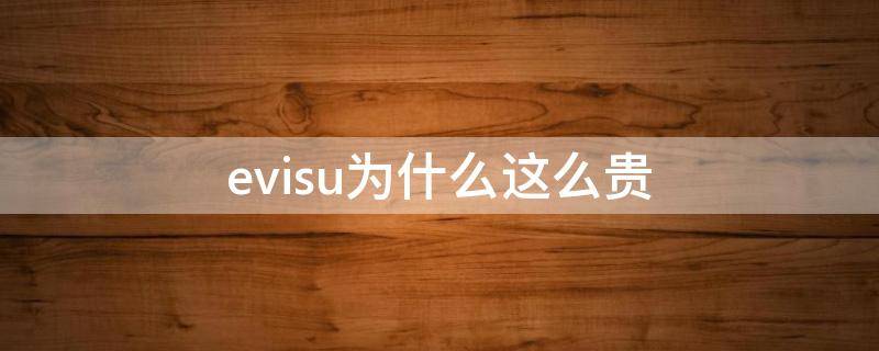 evisu为什么这么贵 evisu很土吗