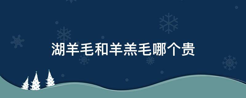 湖羊毛和羊羔毛哪个贵（湖羊毛和羊羔毛哪个贵一些）