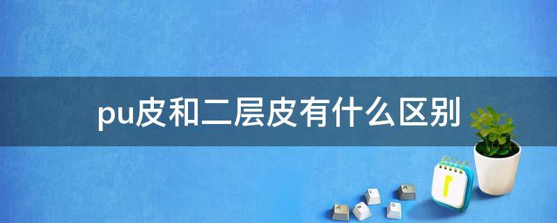 pu皮和二层皮有什么区别 pu皮和二层皮有什么区别图片