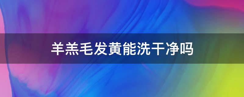 羊羔毛发黄能洗干净吗 羊羔毛发黄怎么处理