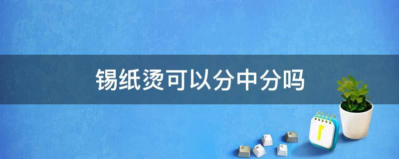 锡纸烫可以分中分吗 锡纸烫能剪头发么