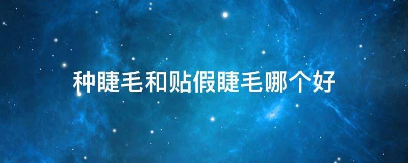 种睫毛和贴假睫毛哪个好 种睫毛和贴假睫毛哪个好看