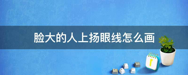 脸大的人上扬眼线怎么画 脸大的人上扬眼线怎么画图片