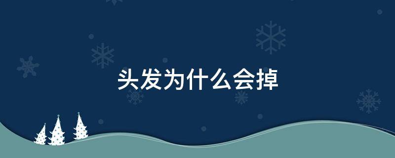 头发为什么会掉 头发为什么会掉发严重