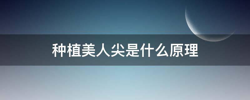 种植美人尖是什么原理 种植美人尖要多少钱