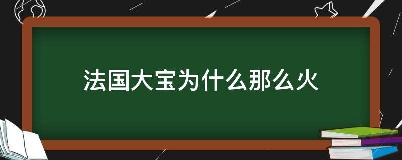 法国大宝为什么那么火 法国大宝为什么叫法国大宝