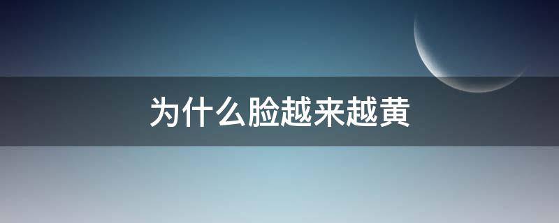 为什么脸越来越黄 为什么脸越来越黄斑也严重