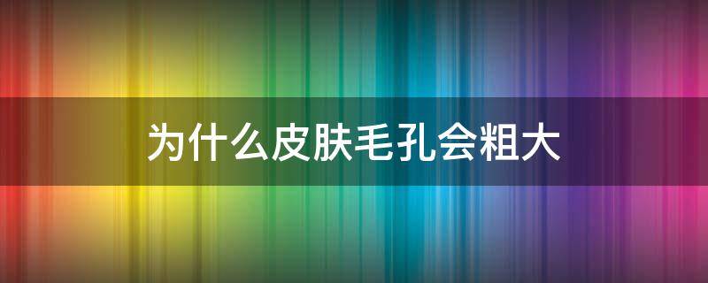 为什么皮肤毛孔会粗大（为什么皮肤毛孔会粗大呢）