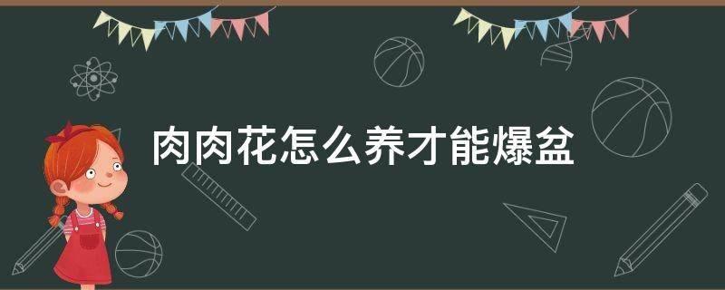 肉肉花怎么养才能爆盆（肉肉花怎么养才能爆盆用来干嘛）