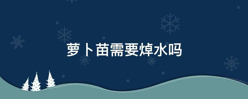 萝卜苗需要焯水吗（萝卜苗需要焯水吗多久）