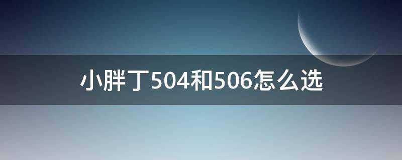 小胖丁504和506怎么选（小胖丁503和504区别）