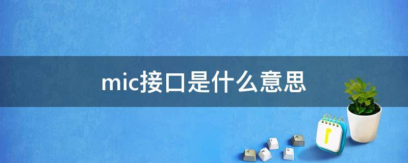 mic接口是什么意思（车载mic接口是什么意思）