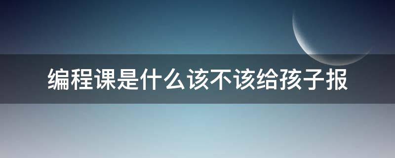 编程课是什么该不该给孩子报（编程课孩子有必要学吗）