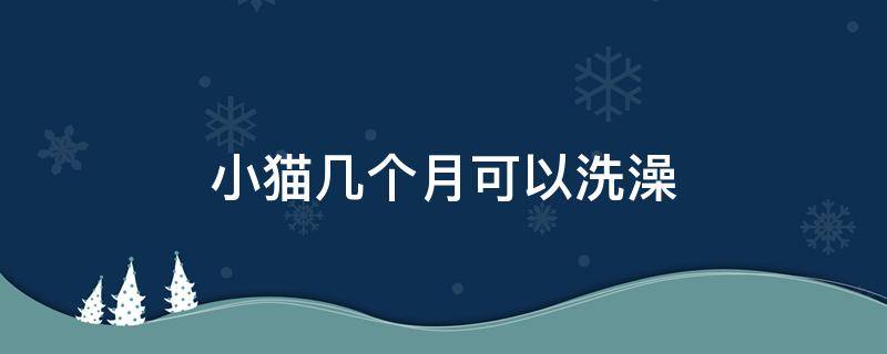 小猫几个月可以洗澡 小猫几个月可以打疫苗