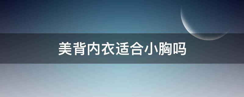 美背内衣适合小胸吗 美背内衣适合胸大有点下垂的穿吗