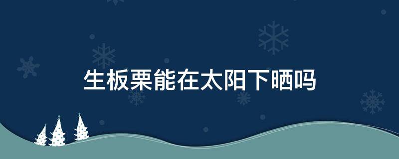 生板栗能在太阳下晒吗 生板栗能不能晒