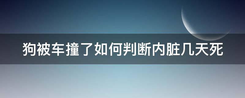 狗被车撞了如何判断内脏几天死 狗被车撞了怎么看内脏有没有受伤