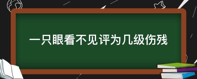 一只眼看不见评为几级伤残（一只眼睛看不见可以评几级伤残）