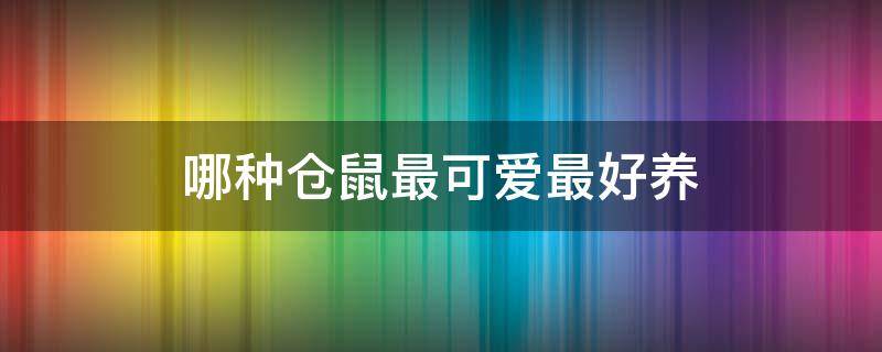 哪种仓鼠最可爱最好养 哪种仓鼠最可爱最好养活