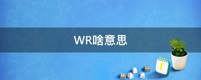 WR啥意思 wr是什么