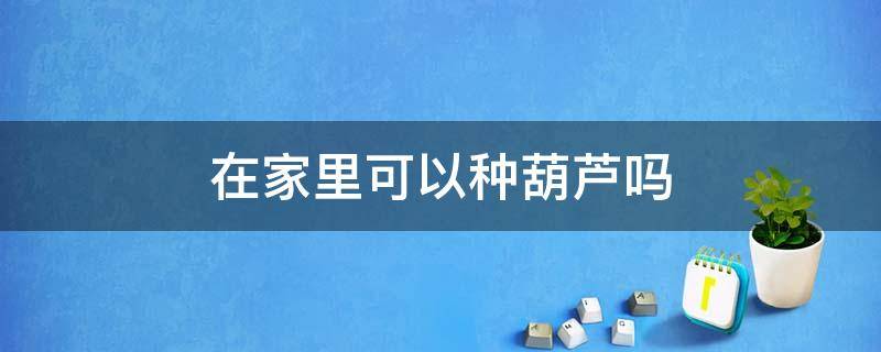 在家里可以种葫芦吗 在家里可以种葫芦吗视频