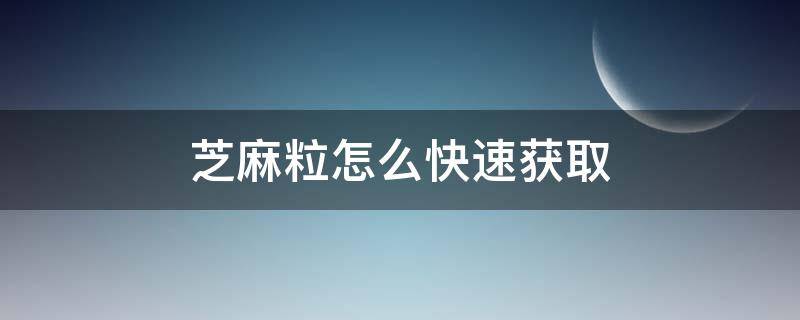 芝麻粒怎么快速获取 芝麻粒有哪些方法可以获得