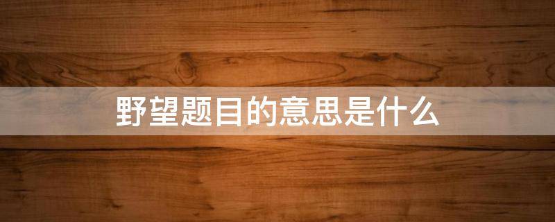 野望题目的意思是什么 野望这首诗的题目是什么意思