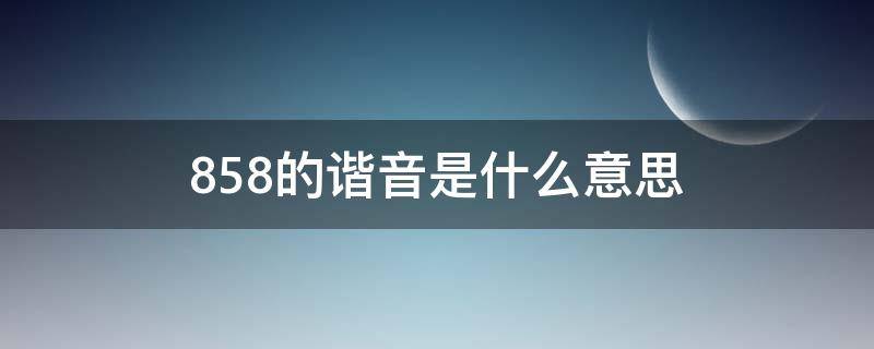 858的谐音是什么意思（858爱情谐音是什么）