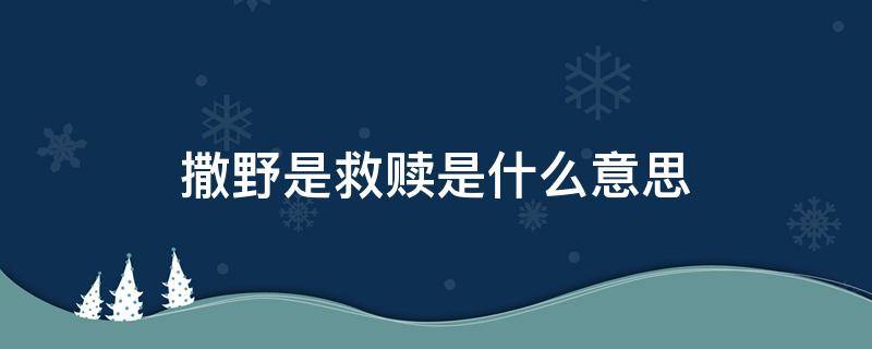 撒野是救赎是什么意思 撒野《救赎》