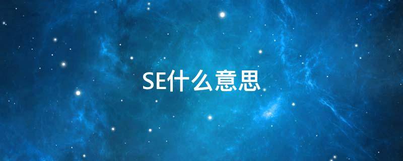 SE什么意思 see什么意思