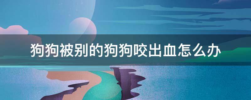 狗狗被别的狗狗咬出血怎么办 狗狗被别的狗狗咬出血要打针吗