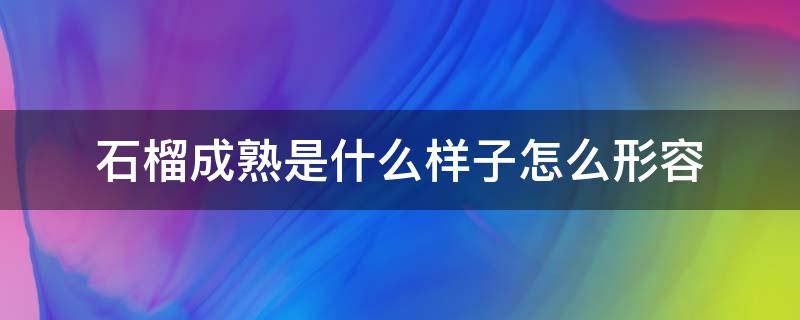 石榴成熟是什么样子怎么形容（石榴成熟是什么成语）