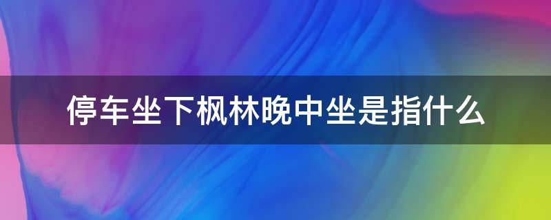 停车坐下枫林晚中坐是指什么 停车坐枫林晚坐的解析