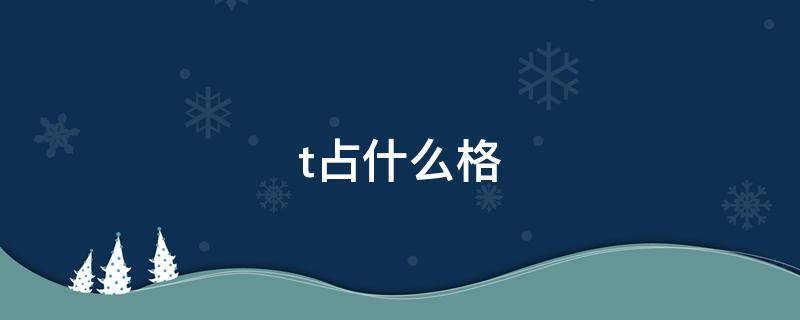 t占什么格（t占什么格拼音）