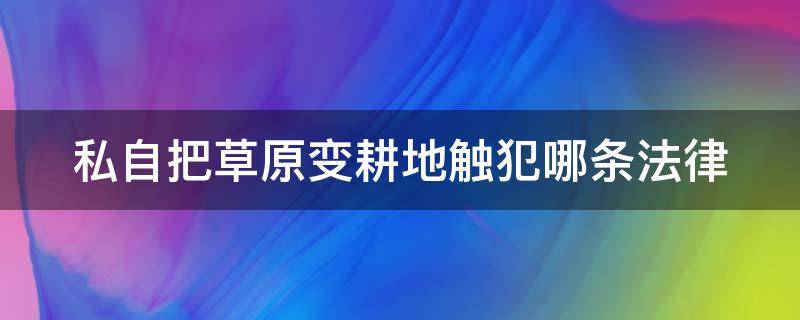 私自把草原变耕地触犯哪条法律（私自把草原变耕地触犯哪条法律）