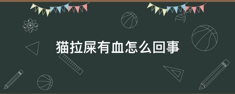 猫拉屎有血怎么回事 猫咪拉血便血但精神很好是怎么回事怎么办