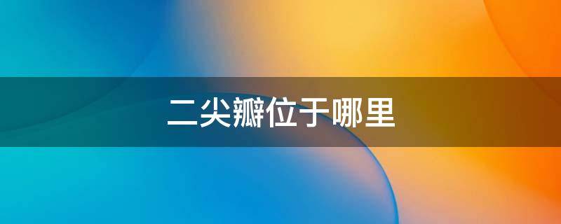 二尖瓣位于哪里 二尖瓣位于哪里?