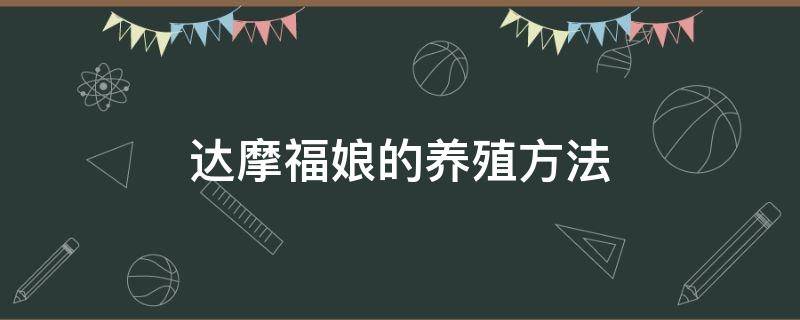 达摩福娘的养殖方法 达摩福娘的种植