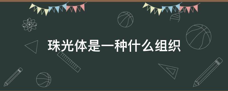 珠光体是一种什么组织 珠光体是一种什么组织形式