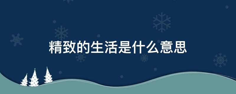 精致的生活是什么意思 精致生活是什么意思网络用语