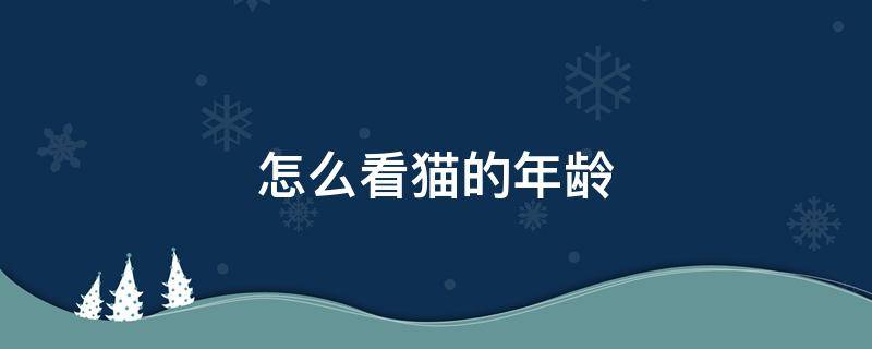 怎么看猫的年龄 怎么看猫的年龄有几个月啊