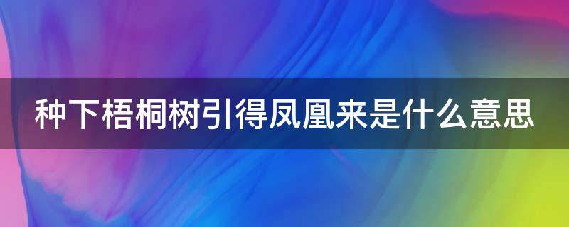 种下梧桐树引得凤凰来是什么意思 栽下梧桐树引得凤凰来出处