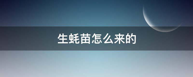 生蚝苗怎么来的（生蚝苗是怎么来的）