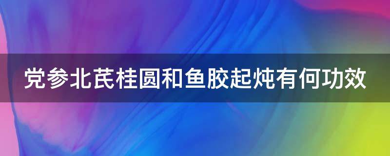 党参北芪桂圆和鱼胶起炖有何功效 鱼胶可以和党参北芪一起炖吗