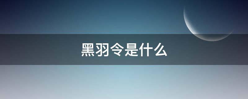 黑羽令是什么（黑羽令是什么?）